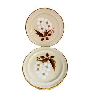 2 Vintage The Classics Hearthside Stoneware Castlewood 10.5” Dinner Plates Japan